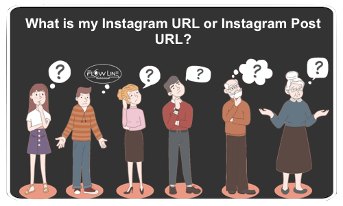 What is my Instagram URL or Instagram Post URL