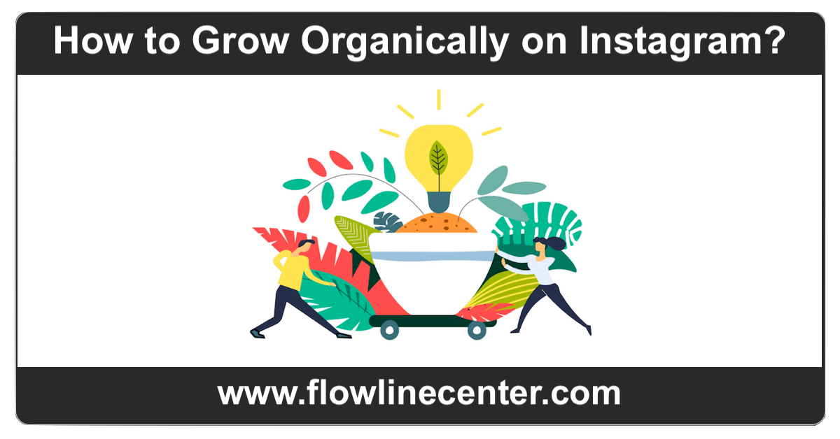How to Grow Organically on Instagram